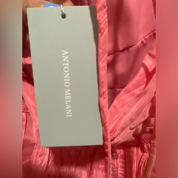 NWT ANTONIO MELANI Seraphina Ombre
Sweetheart Neck A-Line Maxi Dress Size 10, 8 - Picture 15 of 16